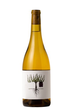 2021 Human Cellars Dry Riesling