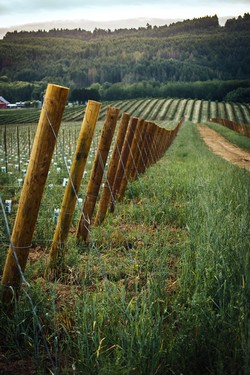 Farm Walking Tour